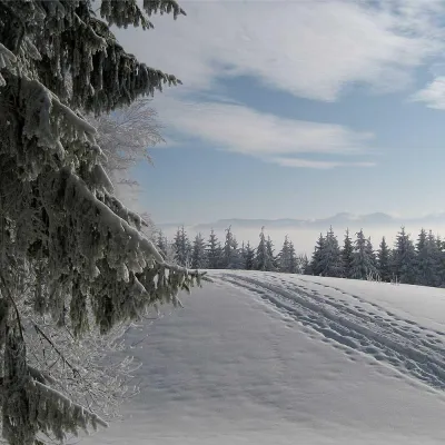Bild: So kommt das Haar heil durch die Eiseskälte