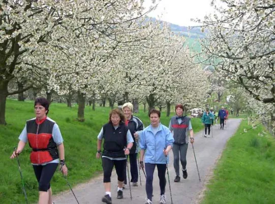 Bild: Zum Kirschblütenwalking ins Werratal