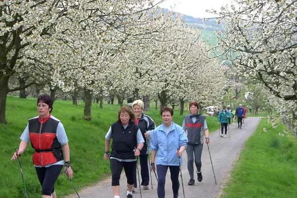 Bild: Zum Kirschblütenwalking ins Werratal