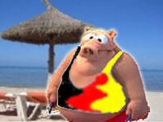 Bild: Party-Aus auf Mallorca - Sind wir Deutschen den Spaniern einfach zu fett?