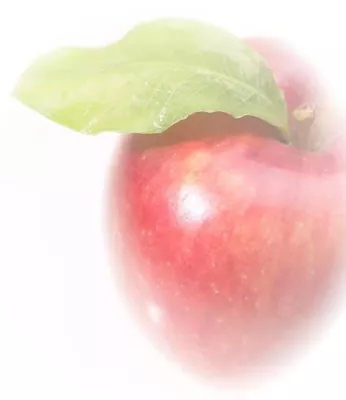 Spurenkennzeichnung von Lebensmittelallergenen Bild: Spurenkennzeichnung von Lebensmittelallergenen