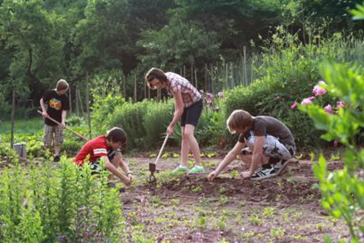 Jäten und Bodenpflege im Gartenbauunterricht