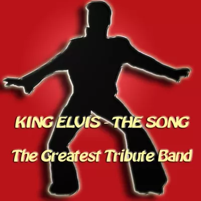 Bild: Komponist und Sänger Hubertus Zeller schrieb den Titel "KING ELVIS - THE SONG" zum 80. Geburtstag