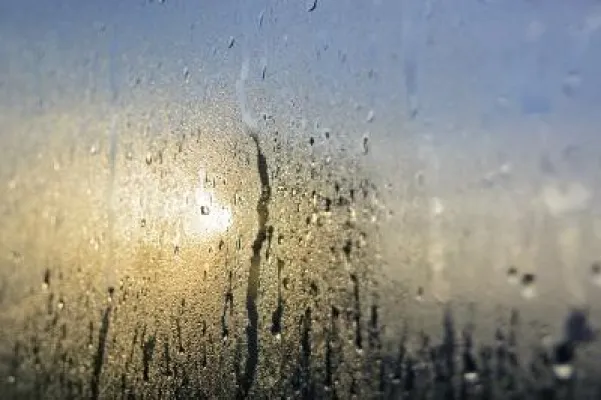 Bild: Plötzlich Schimmelbefall - Der milde, regnerische Winter begünstigt Schimmelbefall in Wohnräumen und Kellern
