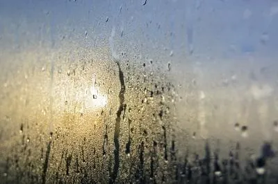 Bild: Plötzlich Schimmelbefall - Der milde, regnerische Winter begünstigt Schimmelbefall in Wohnräumen und Kellern