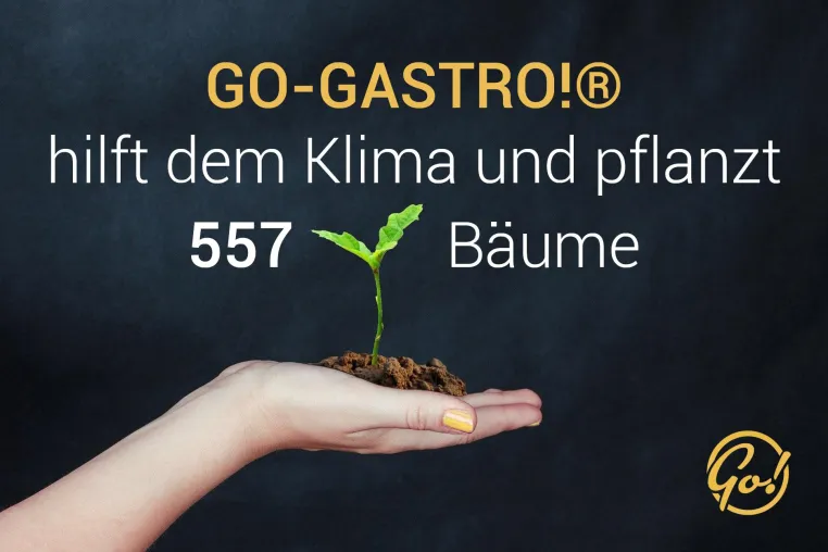 Bild: GO-GASTRO!® hilft dem Klima: 557 Bäume in Lateinamerika gepflanzt
