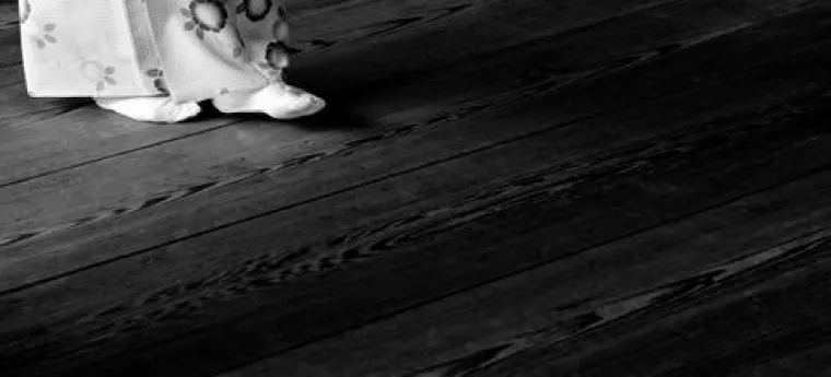 Die Einsamkeit der Ameise: Eine poetische Reportage aus Japan von Luise Aedtner Bild: Die Einsamkeit der Ameise: Eine poetische Reportage aus Japan von Luise Aedtner