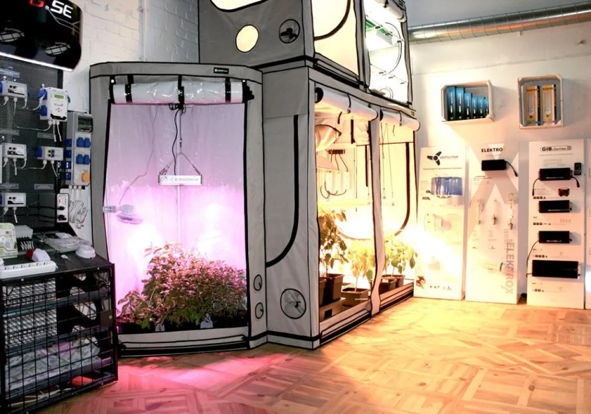 Showroom der Growtech GmbH in Berlin Reinickendorf