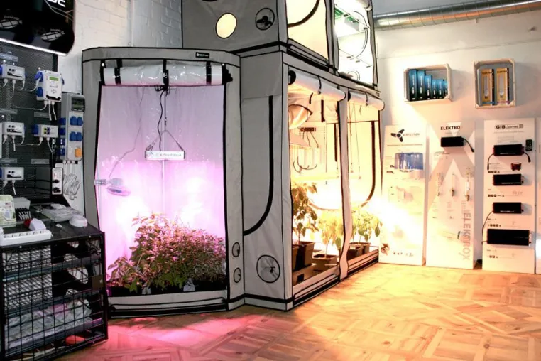 Growtech eröffnet Indoor Grow Showroom in Berlin Bild: Growtech eröffnet Indoor Grow Showroom in Berlin
