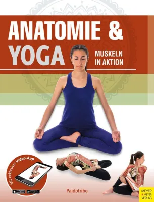 Bild: Anatomie & Yoga: Wissenschaft und Tradition miteinander verbinden