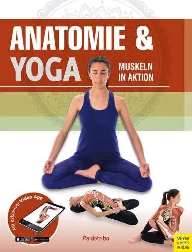 Anatomie & Yoga: Wissenschaft und Tradition miteinander verbinden Bild: Anatomie & Yoga: Wissenschaft und Tradition miteinander verbinden