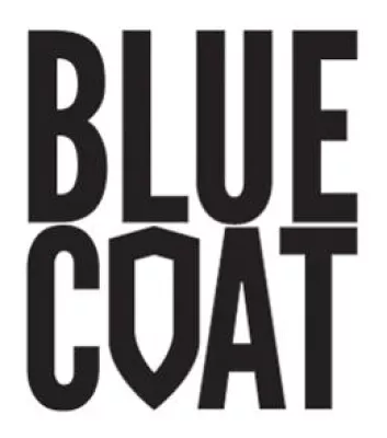 Bild: Blue Coat erwirbt Solera Networks