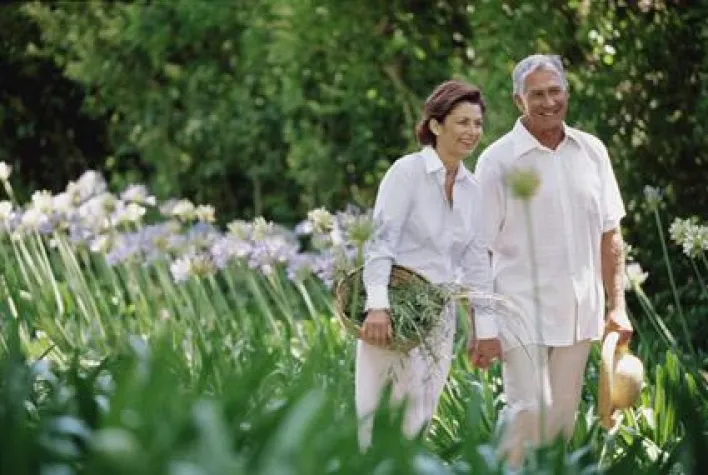 Hand in Hand - Pharmakologie und Unterstützung aus der Natur Bild: Hand in Hand - Pharmakologie und Unterstützung aus der Natur