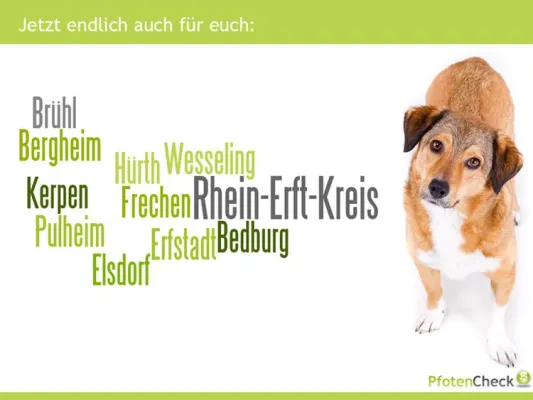 Bild: pfotencheck.de auf Wachstumskurs: ab sofort auch im Rhein-Erft-Kreis vertreten
