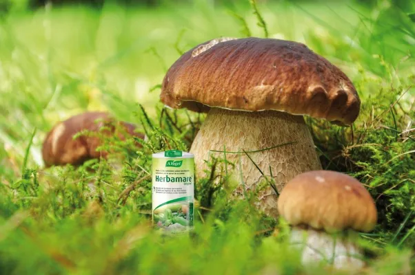 Bild: Fotowettbewerb zum Outdoor-Genuss mit HERBAMARE, dem Frischkräuter-Meersalz aus der Schweiz