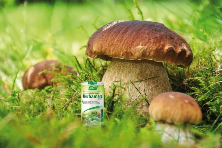 Fotowettbewerb zum Outdoor-Genuss mit HERBAMARE, dem Frischkräuter-Meersalz aus der Schweiz Bild: Fotowettbewerb zum Outdoor-Genuss mit HERBAMARE, dem Frischkräuter-Meersalz aus der Schweiz