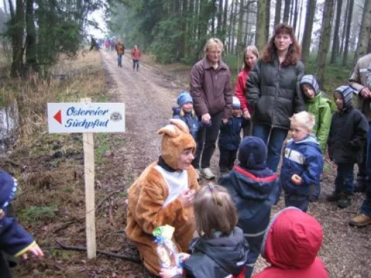 Bild: Brauerei Gold Ochsen versteckt 5000 bunte Ostereier in einem noch geheimen Waldgebiet