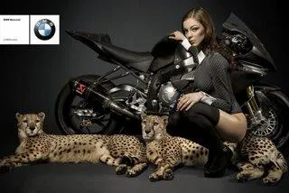 Bild: Wild Things