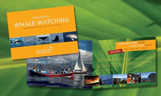 Bild: Faszination Whale Watching – Premiere bei OCEANO mit dem Reisekatalog 2009