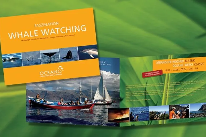 Bild: Faszination Whale Watching – Premiere bei OCEANO mit dem Reisekatalog 2009