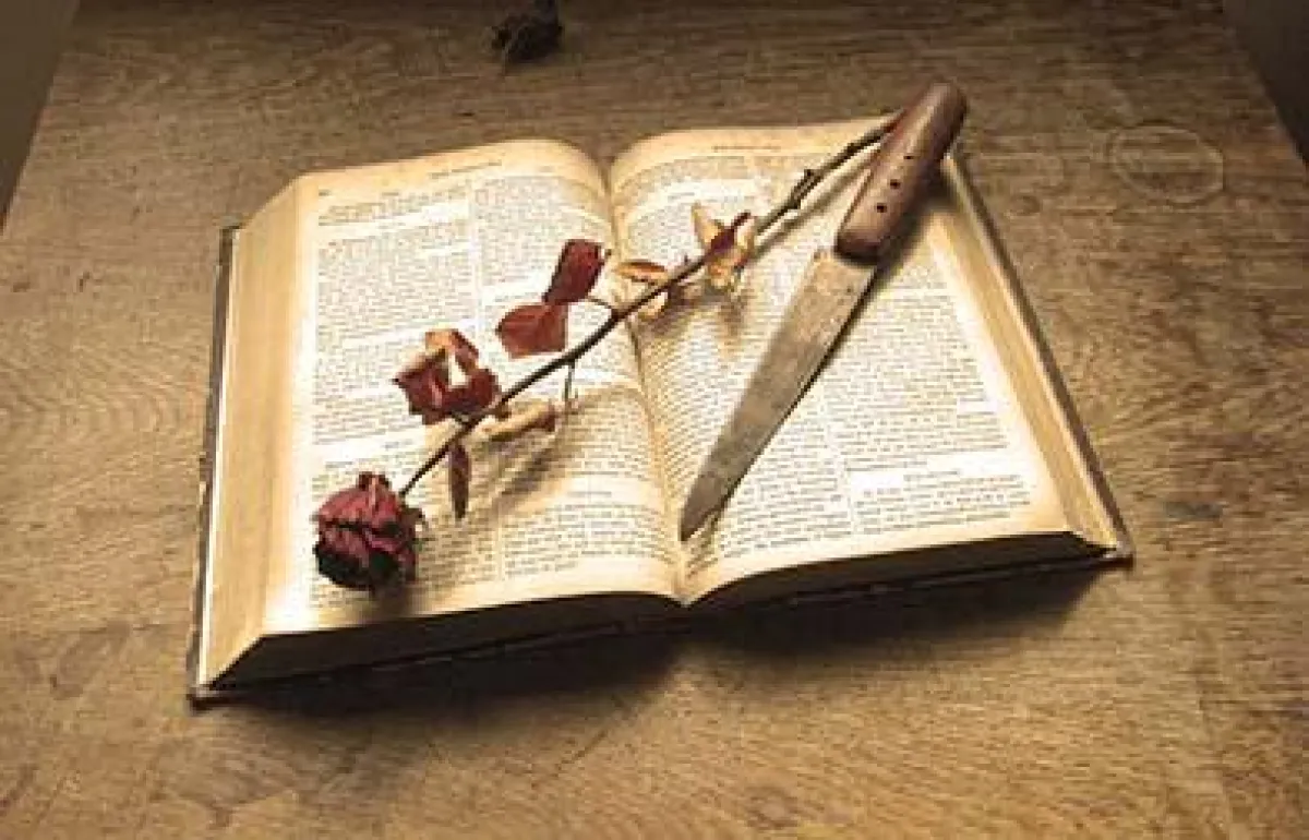 Sie wollen Spannung, Leidenschaft und Gefühl? Dann werden Sie die Lesehäppchen lieben.