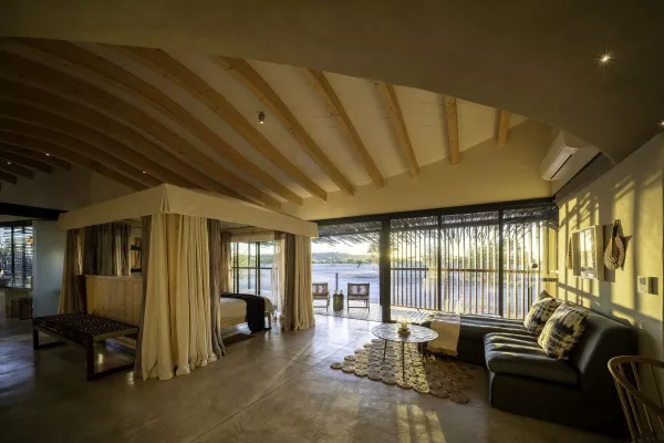 Bild: Auf Safari in Namibia