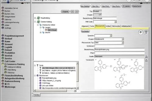 Bild: eNVenta ERP 2.4 mit neuem Intercompany-Management