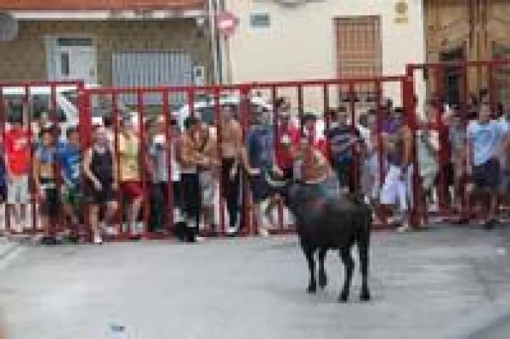 Bild: Es lebe die spanische Fiesta