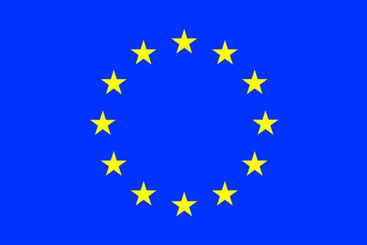 This project has received funding from the European Union’s Horizon 2020 research and innovation programme under the Marie Sklodowska-Curie grant agreement No 754411. ()