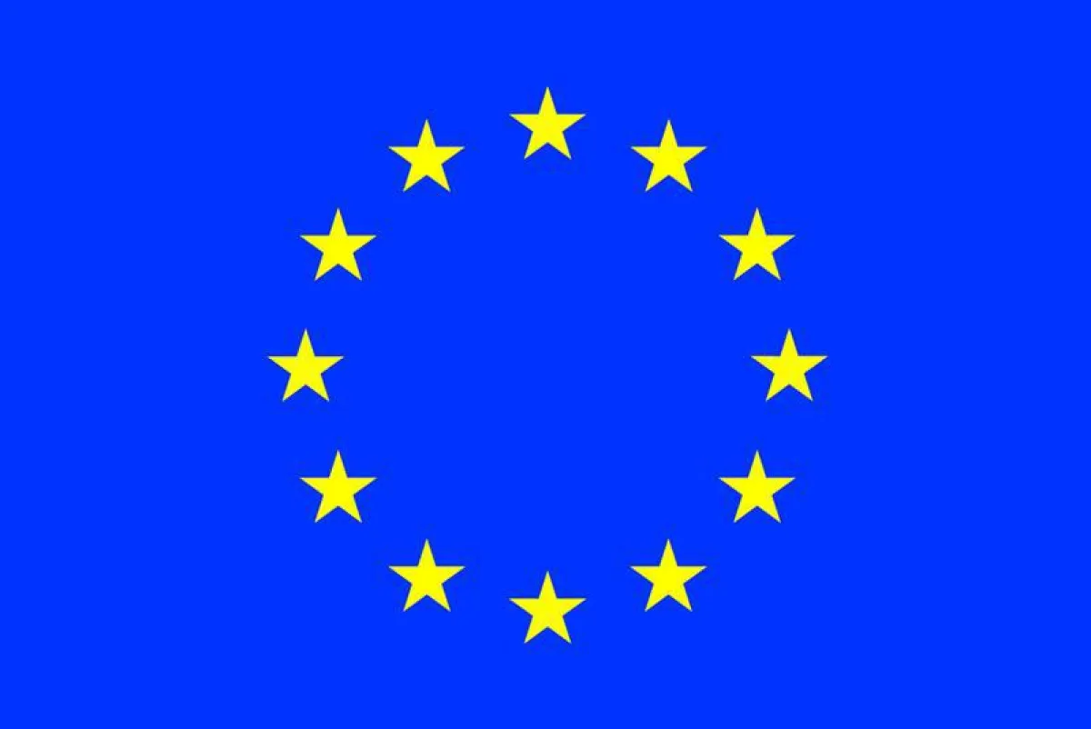 This project has received funding from the European Union’s Horizon 2020 research and innovation programme under the Marie Sklodowska-Curie grant agreement No 754411. ()