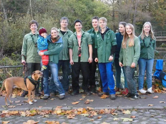 Bild: Störche suchen Nachwuchs