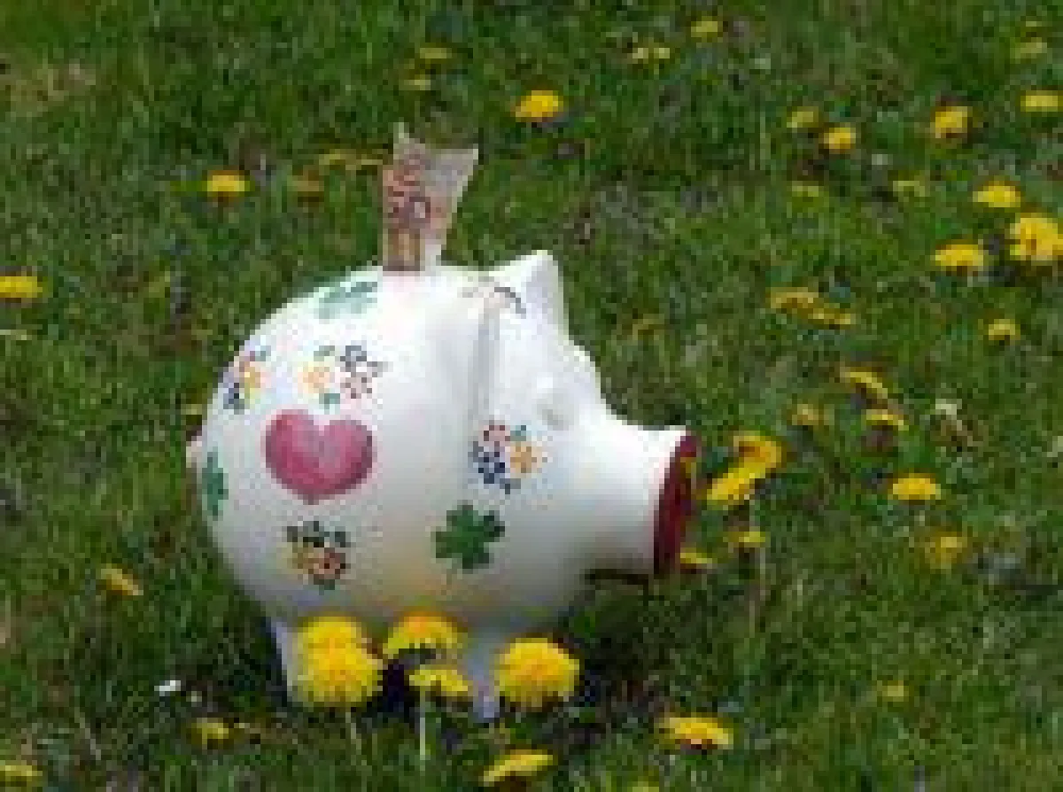 Ökologisch anlegen lohnt sich auch ökonomisch