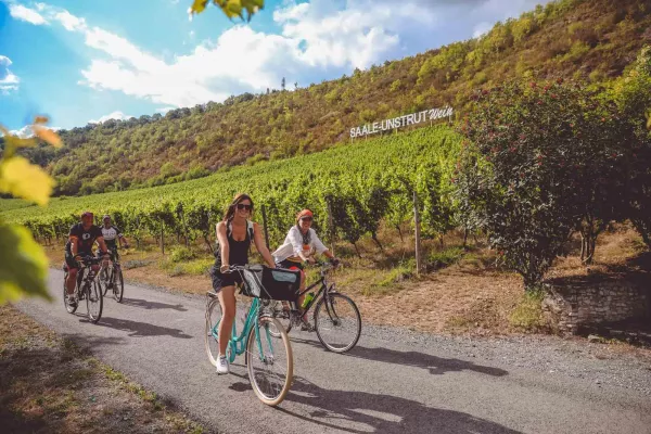 Bild: Frühlingserwachen am Saaleradweg