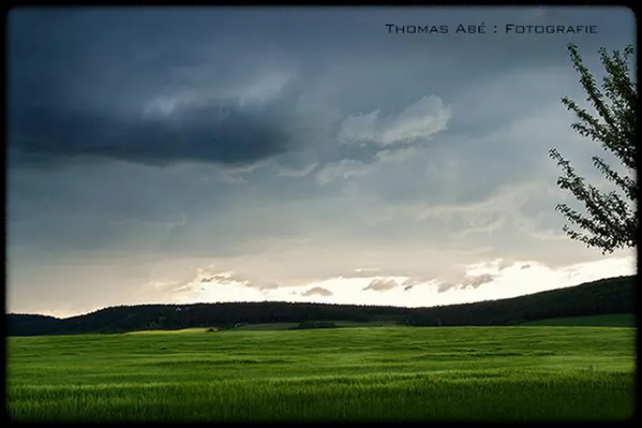 Bild: Details der Jahreszeit fotografisch festhalten