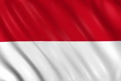Bild: Wirtschaftshandbuch Indonesien 2013-2014