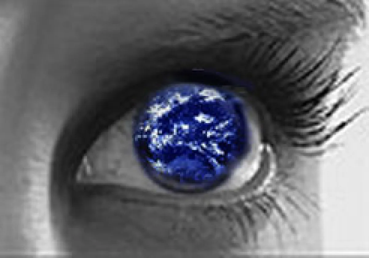 Auktionsplattform Internet