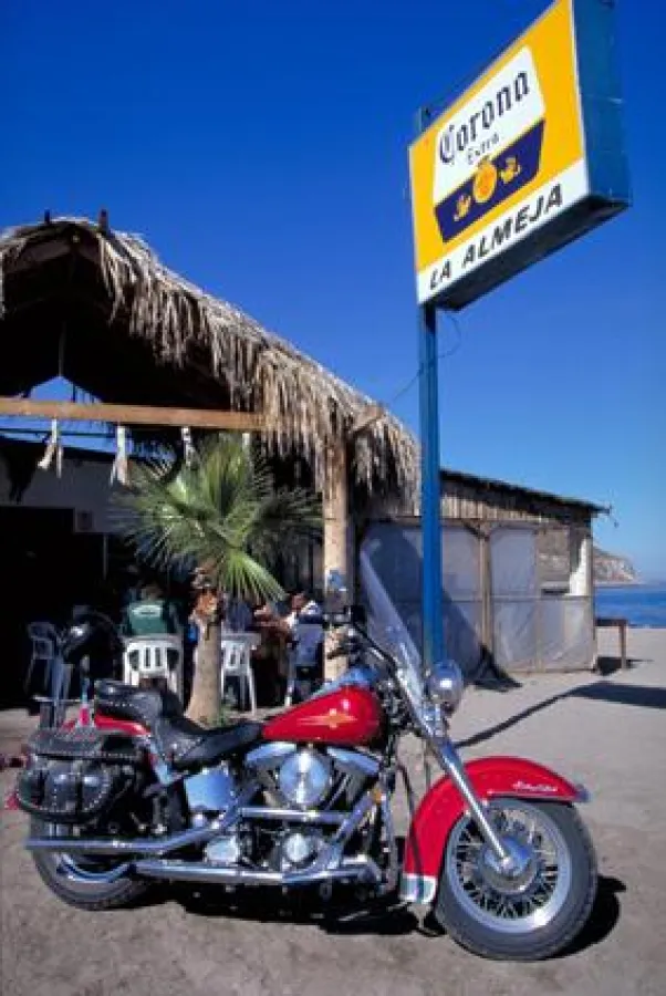 Born to be wild - mit der Harley durch die Rocky Mountains