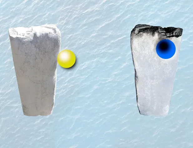 Bild: Lange Nacht der Münchner Museen am 20.10.2018