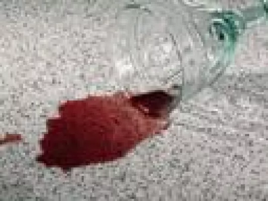 Dauerhafter Schutz für Pflastersteine - hansebeton mit Produktinnovation „hanseclean“ auf der NordBau Bild: Dauerhafter Schutz für Pflastersteine - hansebeton mit Produktinnovation „hanseclean“ auf der NordBau