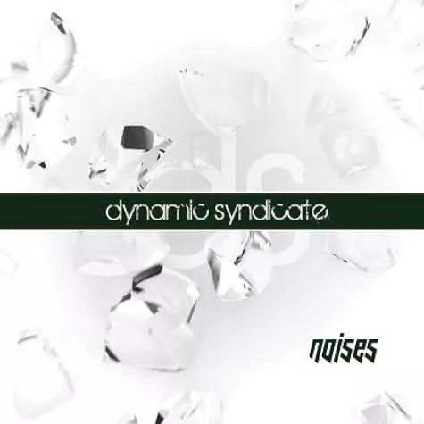 Bild: dynamic syndicate – Noises
