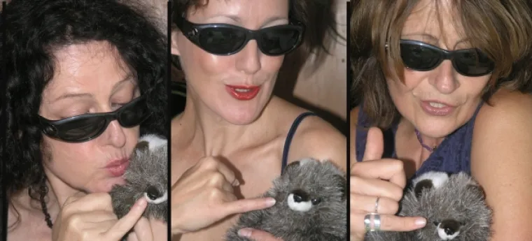 Bild: Premiere - Die Chickendales