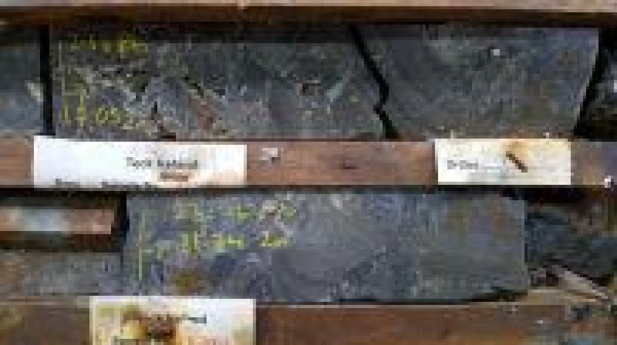 Bohrkerne von Stonepark; Foto: Group Eleven Resources