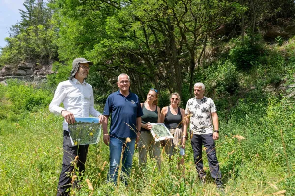 Bild: Vom Gipsabbau-Gelände zum Biotop