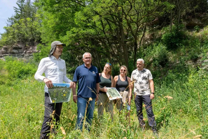 Bild: Vom Gipsabbau-Gelände zum Biotop