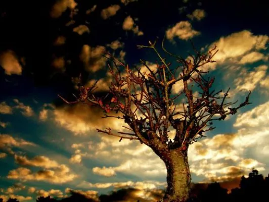 Bild: Märchenschreiber/innen gesucht für »Das Trinkermärchenbuch«