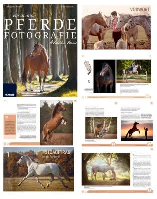 Bild: Faszination Pferdefotografie - Schönheit, Stärke, Anmut und Poesie im Bild