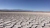 Bild: Der Preis macht die Energiewende