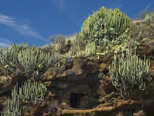 Bild: 5-tägige Fotoreise La Palma (Kanarische Inseln) mit der Fotoschule des Sehens
