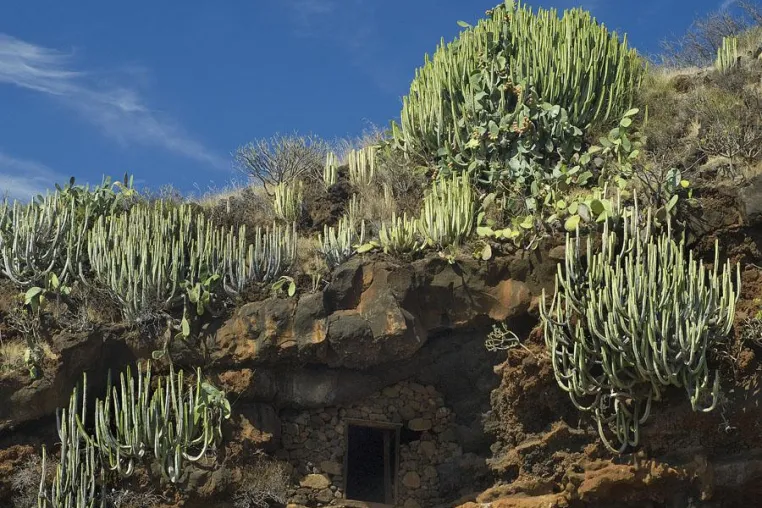 5-tägige Fotoreise La Palma (Kanarische Inseln) mit der Fotoschule des Sehens Bild: 5-tägige Fotoreise La Palma (Kanarische Inseln) mit der Fotoschule des Sehens