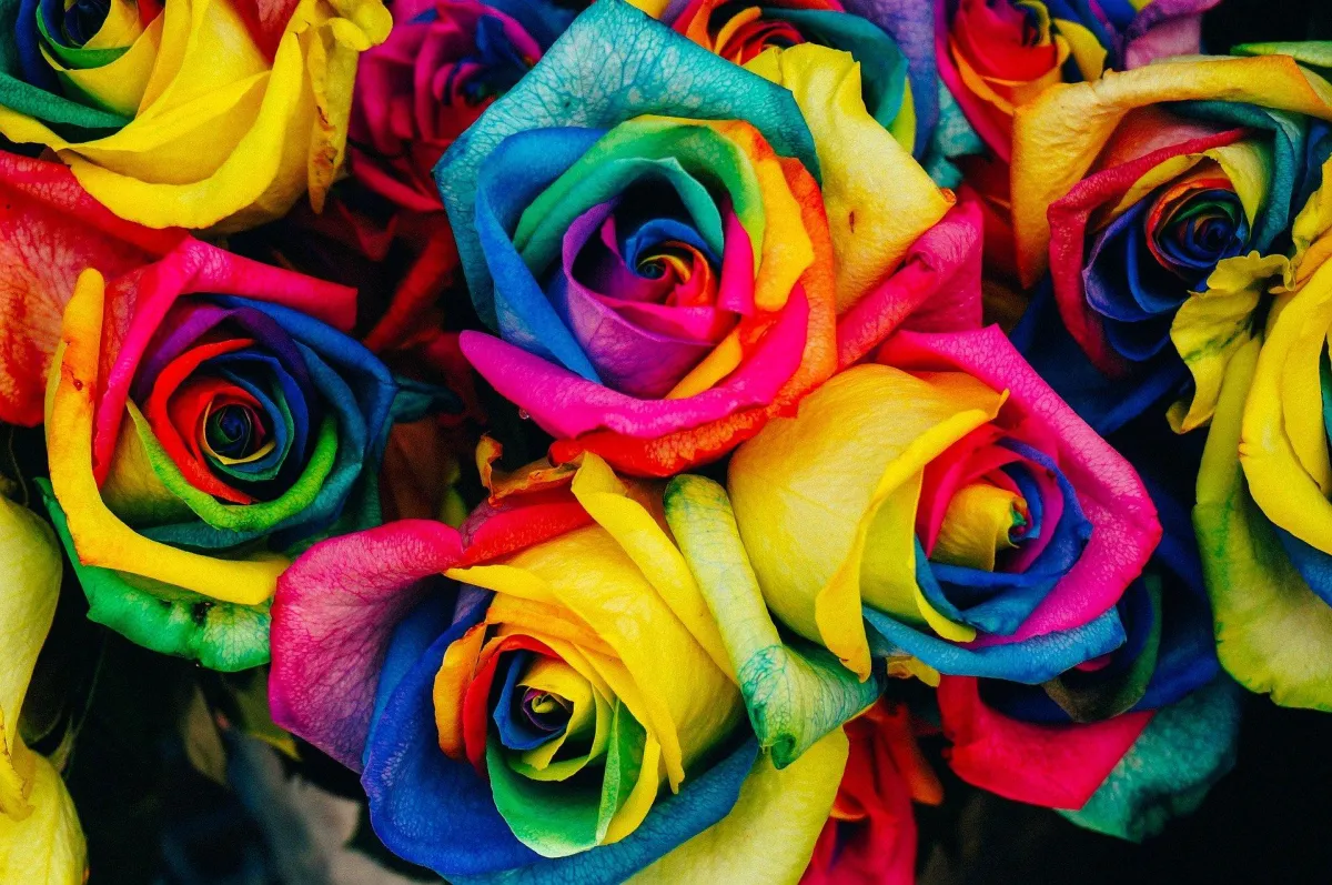 Blumen sind immer willkommen